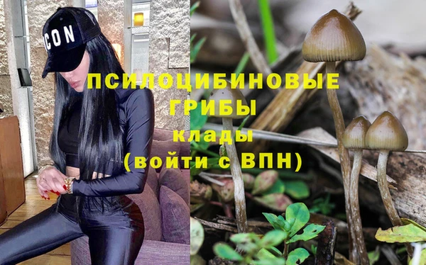трава Нязепетровск