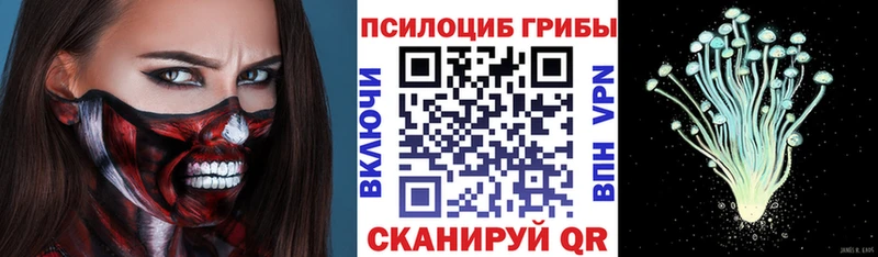 Псилоцибиновые грибы MAGIC MUSHROOMS  кракен вход  Чистополь  даркнет сайт 
