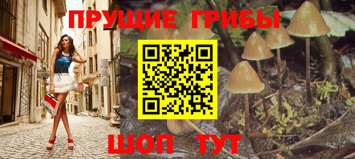 дарнет шоп  Вход с VPN  Чистополь  Псилоцибиновые грибы мухоморы 