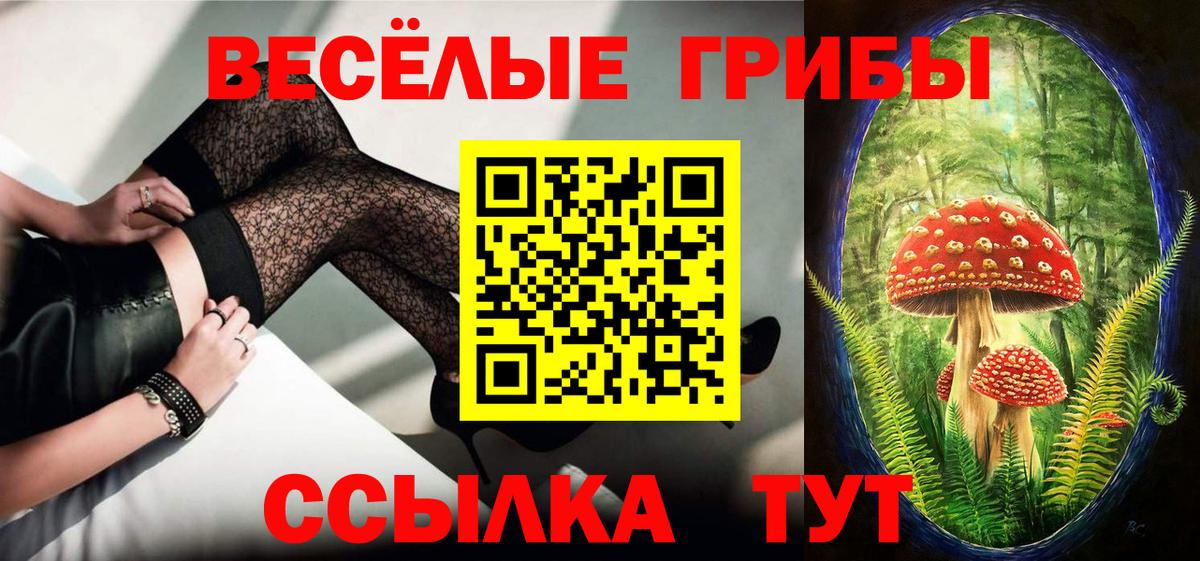 Псилоцибиновые грибы Psilocybe  Чистополь 