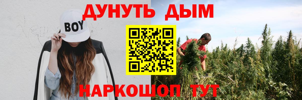 Бошки марихуана сатива Чистополь